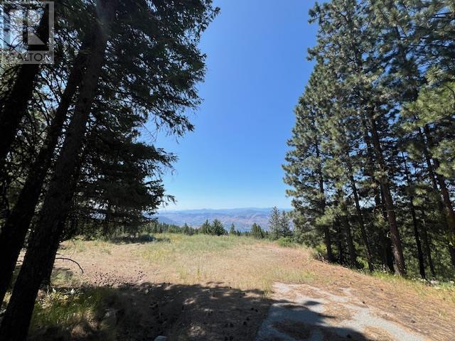 Lot 12 Sasquatch Trail, Osoyoos, British Columbia  V0H 1V6 - Photo 10 - 10336632