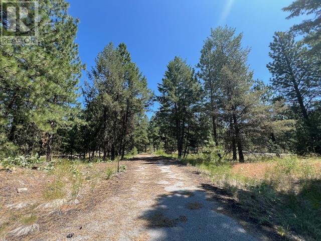 Lot 12 Sasquatch Trail, Osoyoos, British Columbia  V0H 1V6 - Photo 13 - 10336632