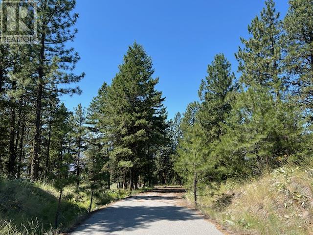 Lot 12 Sasquatch Trail, Osoyoos, British Columbia  V0H 1V6 - Photo 5 - 10336632