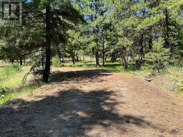Lot 12 Sasquatch Trail, Osoyoos, British Columbia  V0H 1V6 - Photo 7 - 10336632