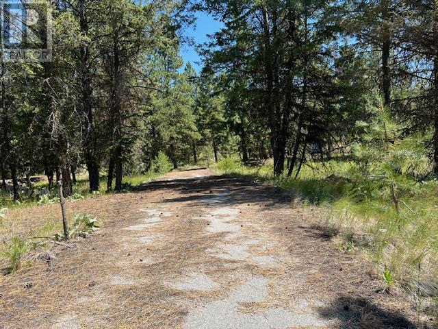 Lot 12 Sasquatch Trail, Osoyoos, British Columbia  V0H 1V6 - Photo 8 - 10336632