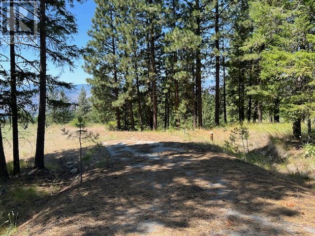 Lot 12 Sasquatch Trail, Osoyoos, British Columbia  V0H 1V6 - Photo 9 - 10336632