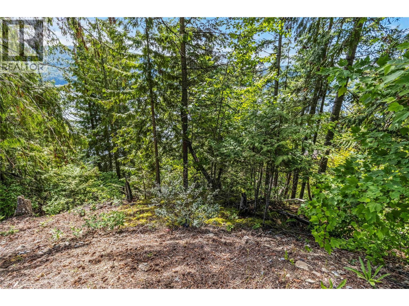 8734 Squilax Anglemont Road, St. Ives, British Columbia  V0E 1M9 - Photo 20 - 10326988