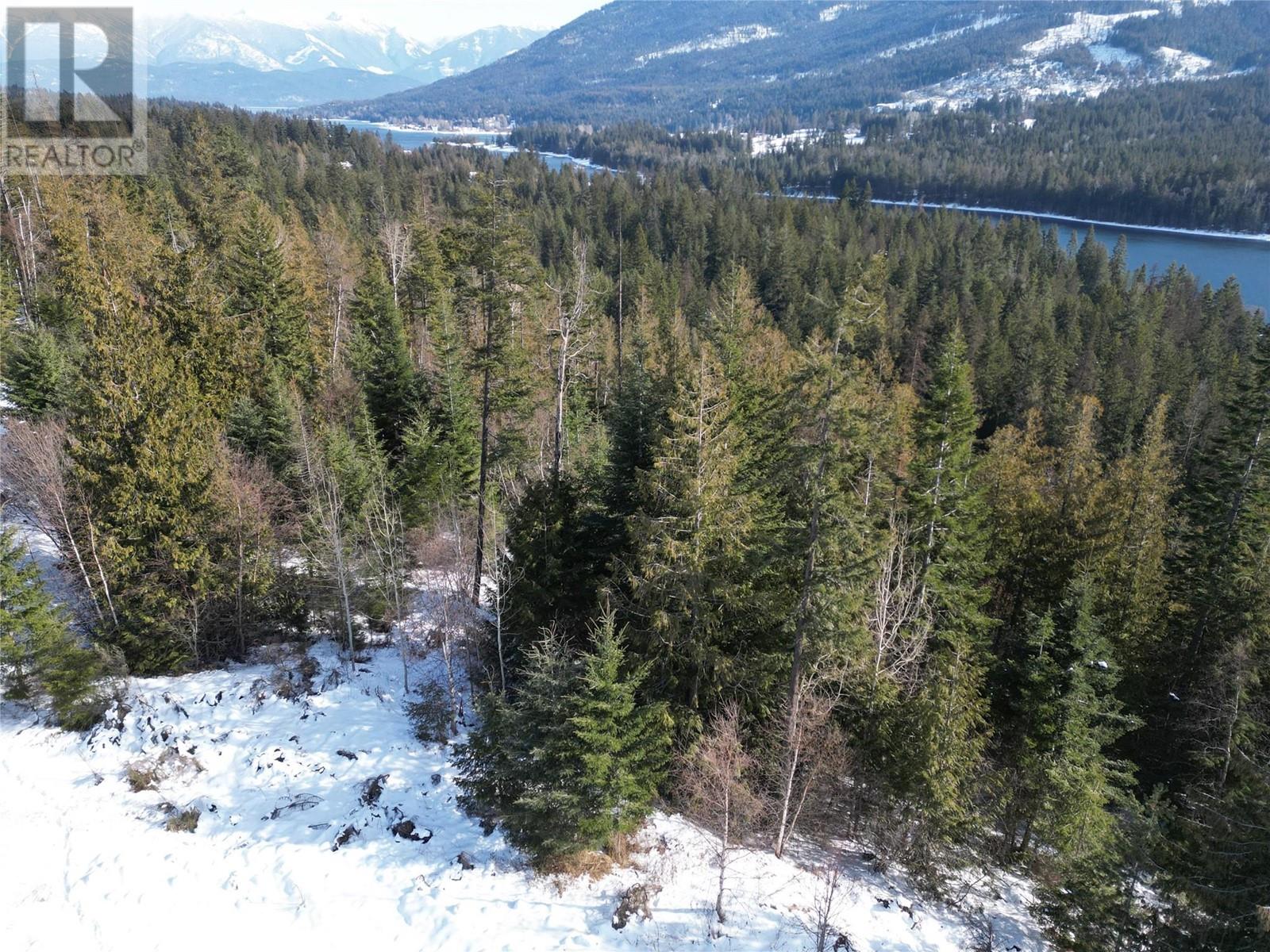 6812 Grandview Drive, Nelson, British Columbia  V1L 5P3 - Photo 13 - 10335191