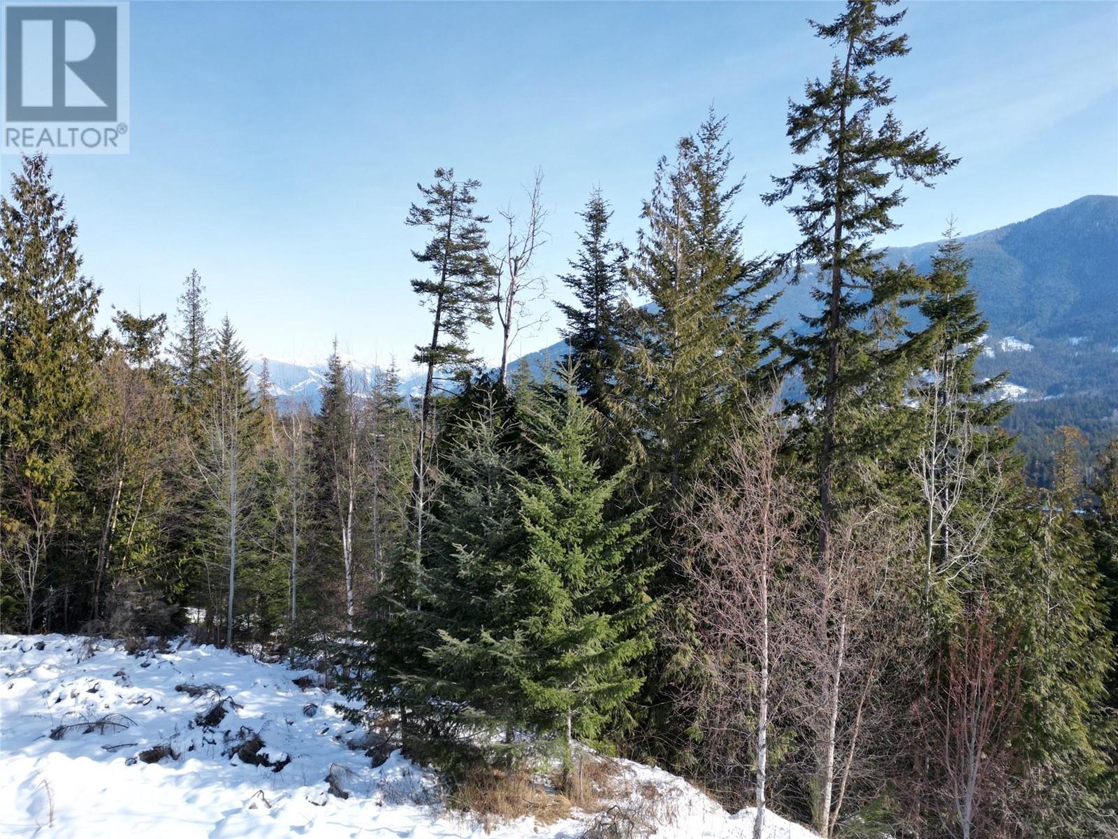 6812 Grandview Drive, Nelson, British Columbia  V1L 5P3 - Photo 17 - 10335191