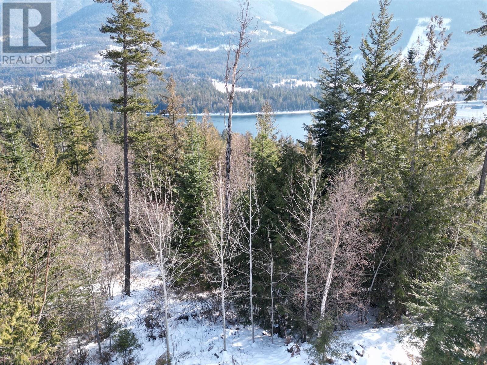 6812 Grandview Drive, Nelson, British Columbia  V1L 5P3 - Photo 19 - 10335191