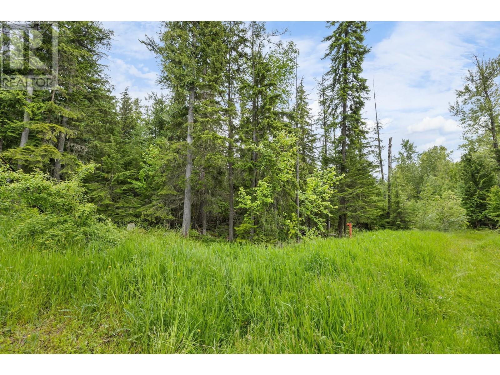 Lot 16 Selkirk Road, Crawford Bay, British Columbia  V0B 1E0 - Photo 3 - 10336983