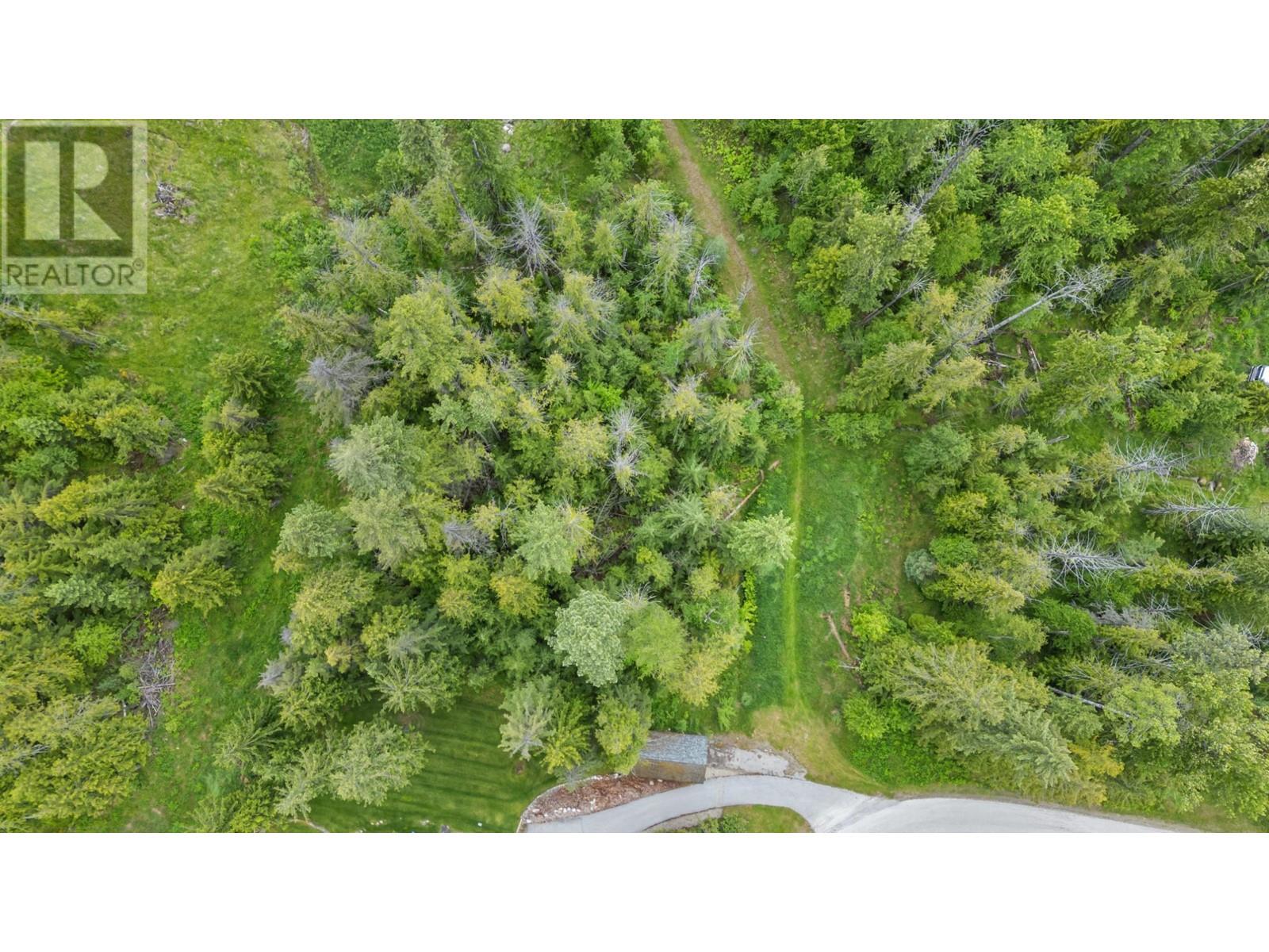 Lot 16 Selkirk Road, Crawford Bay, British Columbia  V0B 1E0 - Photo 4 - 10336983