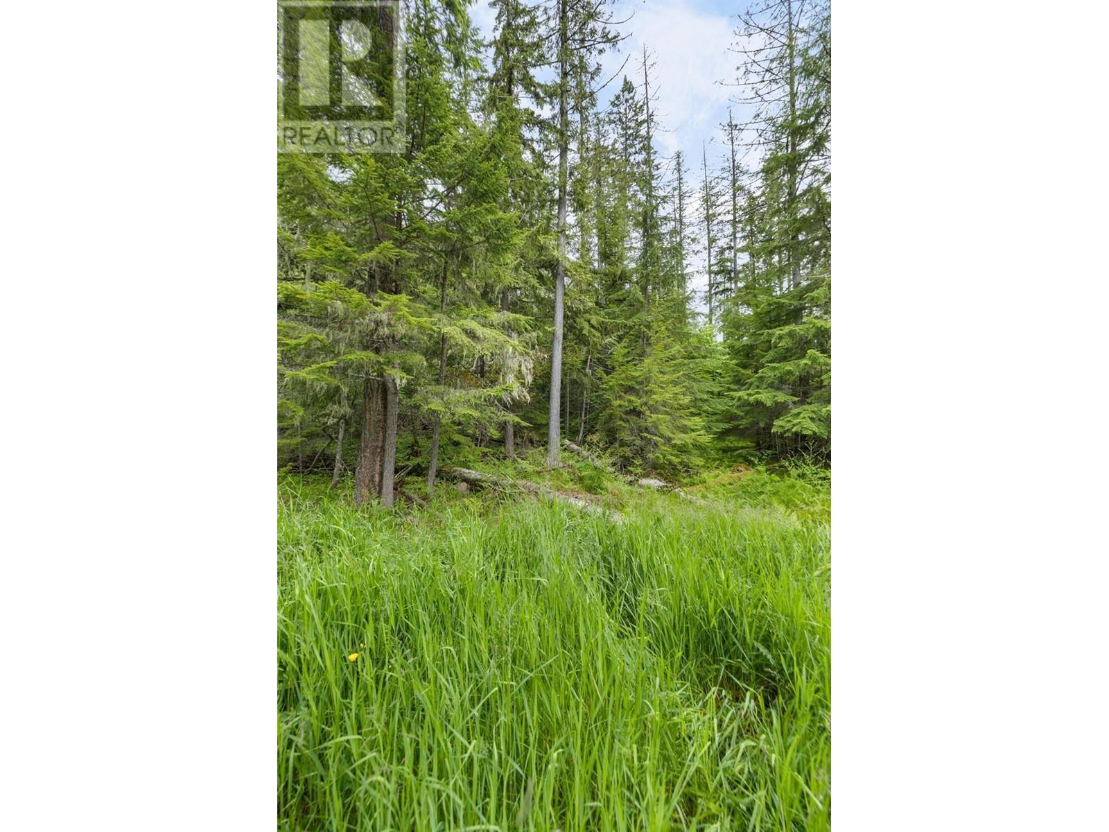 Lot 16 Selkirk Road, Crawford Bay, British Columbia  V0B 1E0 - Photo 8 - 10336983
