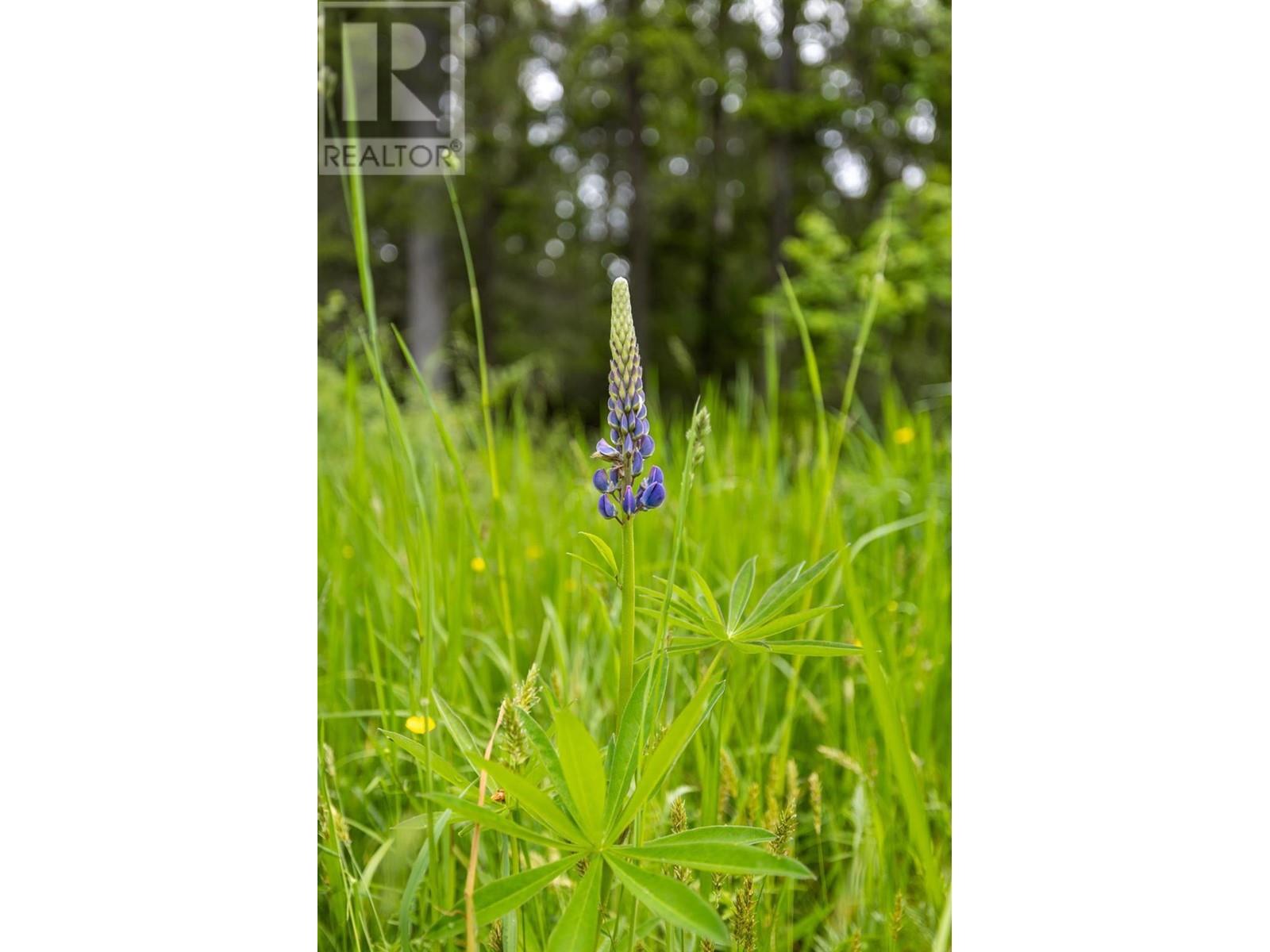 Lot 16 Selkirk Road, Crawford Bay, British Columbia  V0B 1E0 - Photo 9 - 10336983