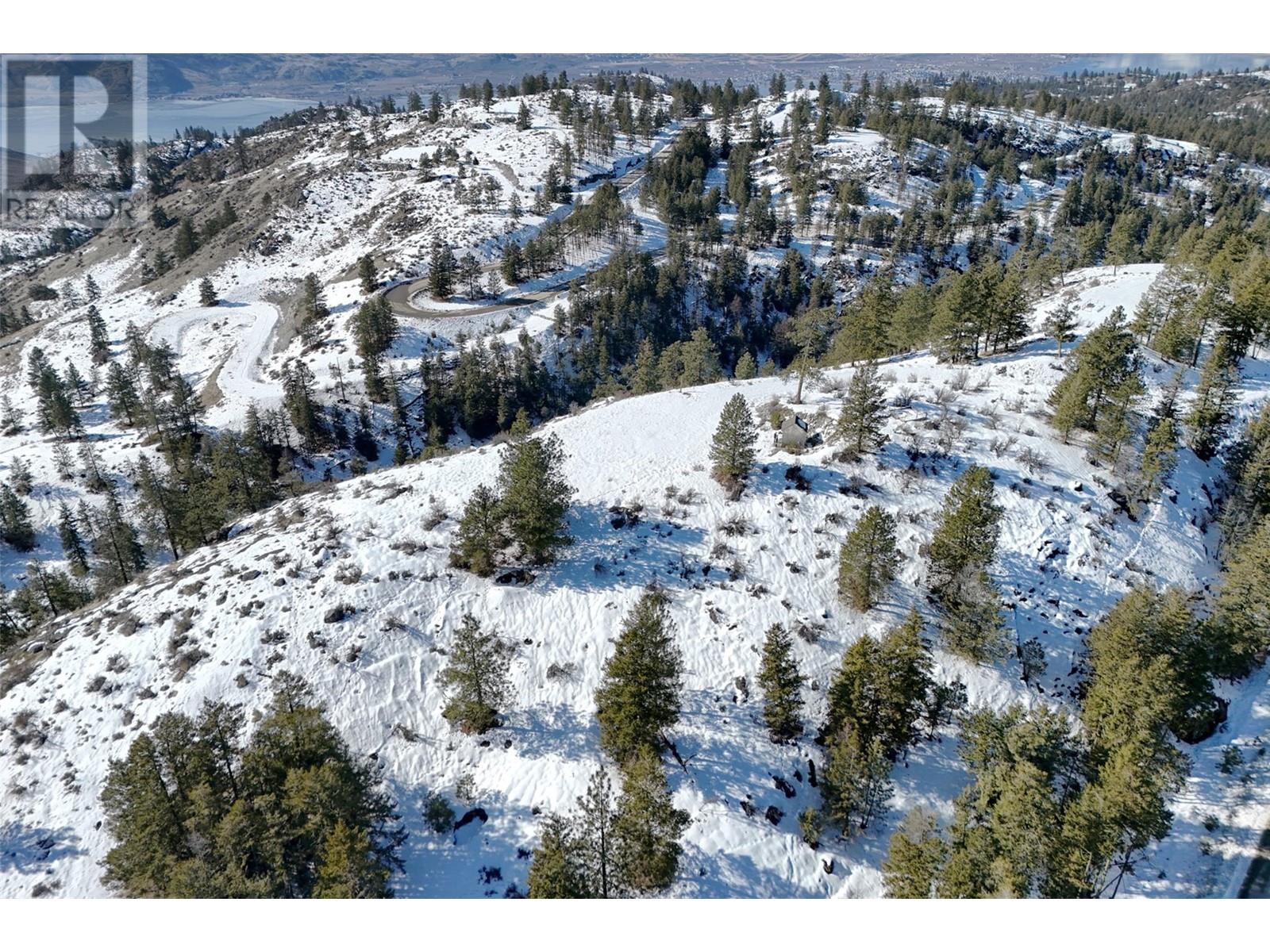 387 Mule Deer Drive Lot# 20, Osoyoos, British Columbia  V0H 1V5 - Photo 11 - 10337225