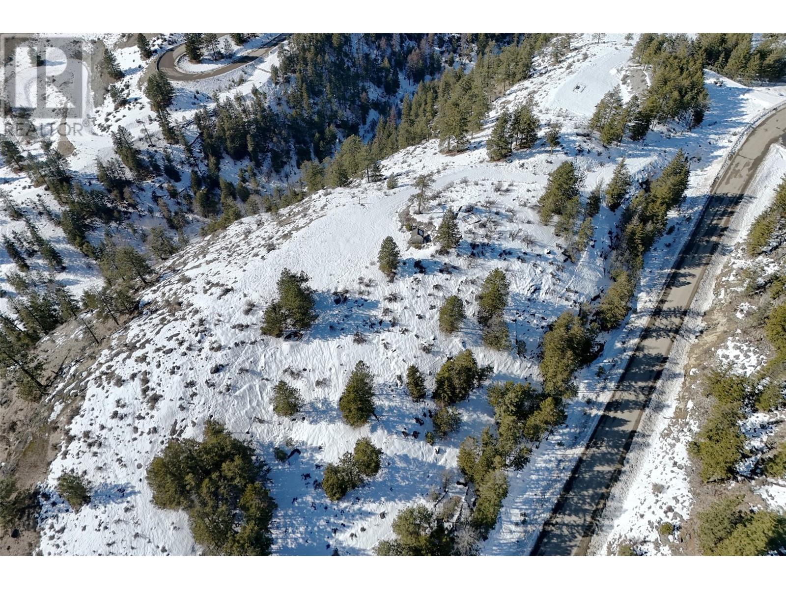 387 Mule Deer Drive Lot# 20, Osoyoos, British Columbia  V0H 1V5 - Photo 12 - 10337225