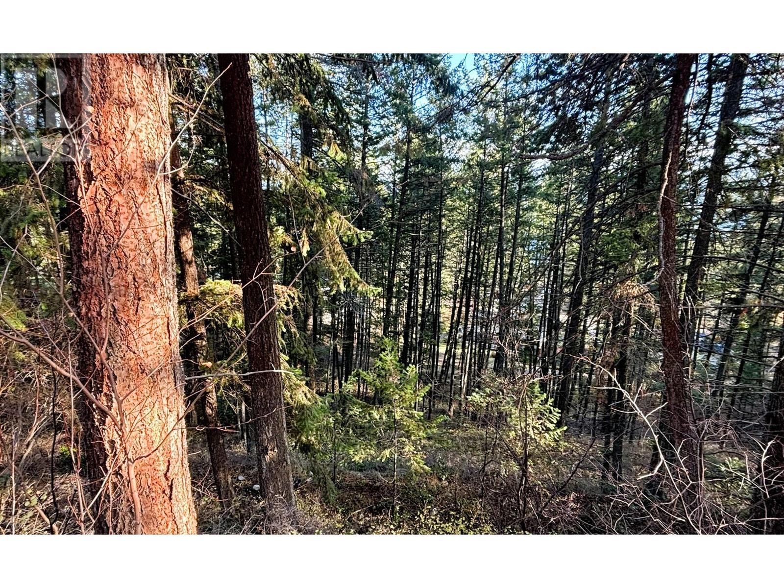 Lot 145 Keithley Road Lot# 145, Vernon, British Columbia  V1H 2C8 - Photo 8 - 10336509