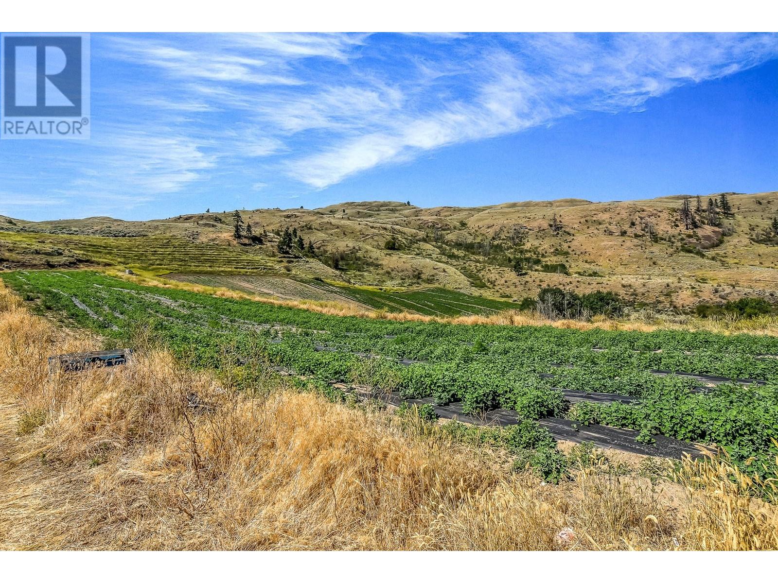 18255 3 Highway, Osoyoos, British Columbia  V0H 1V5 - Photo 14 - 10337675