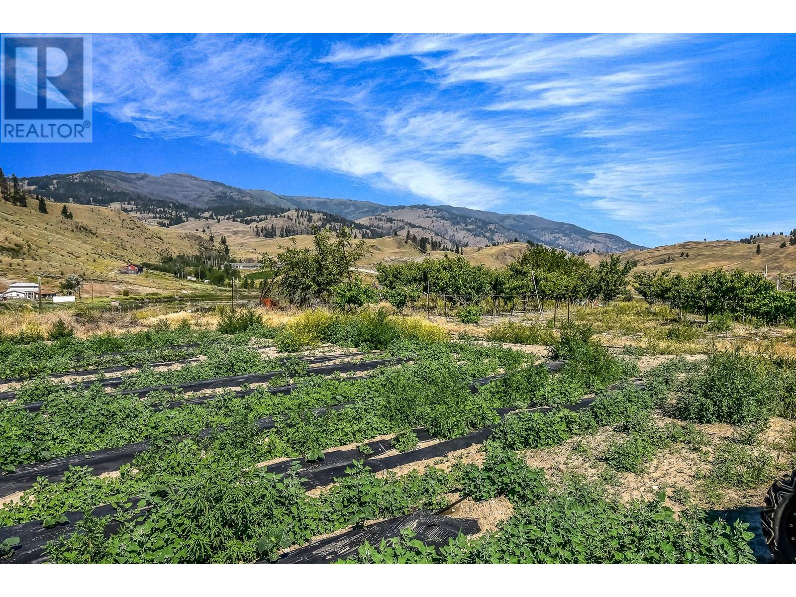 18255 3 Highway, Osoyoos, British Columbia  V0H 1V5 - Photo 15 - 10337675