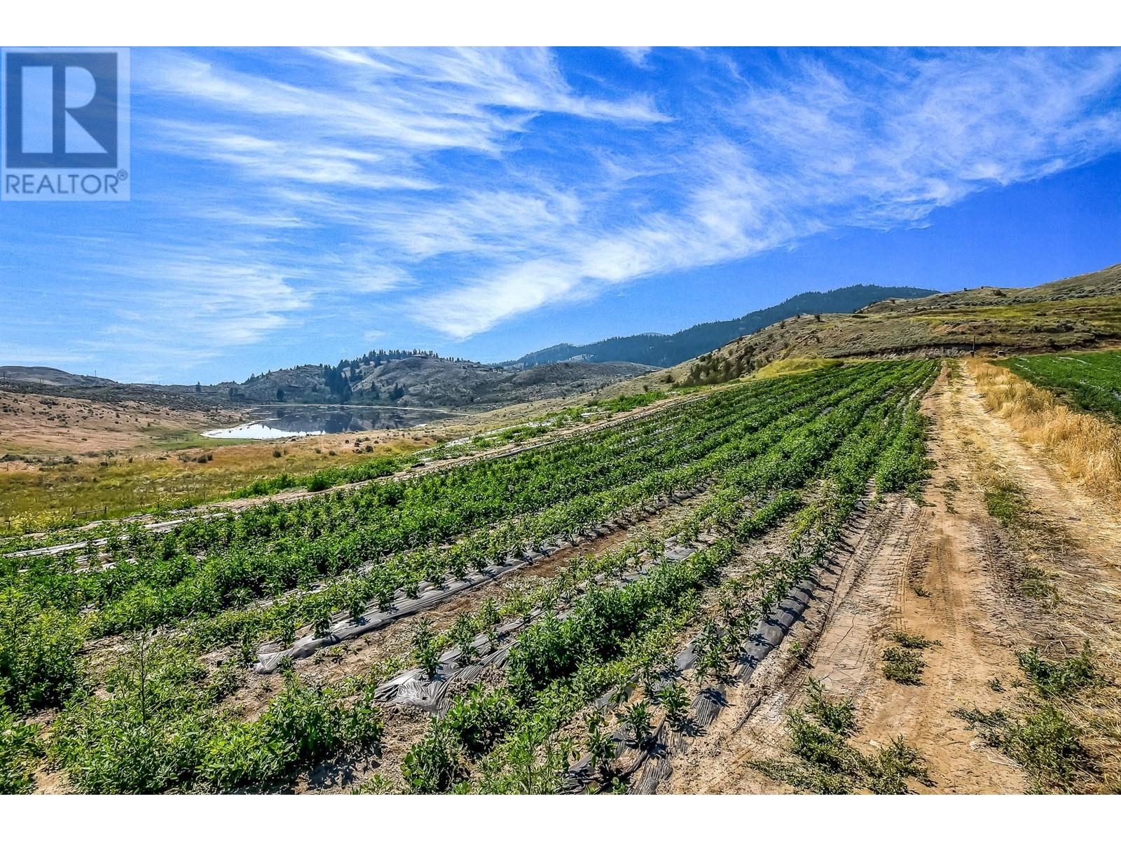 18255 3 Highway, Osoyoos, British Columbia  V0H 1V5 - Photo 2 - 10337675