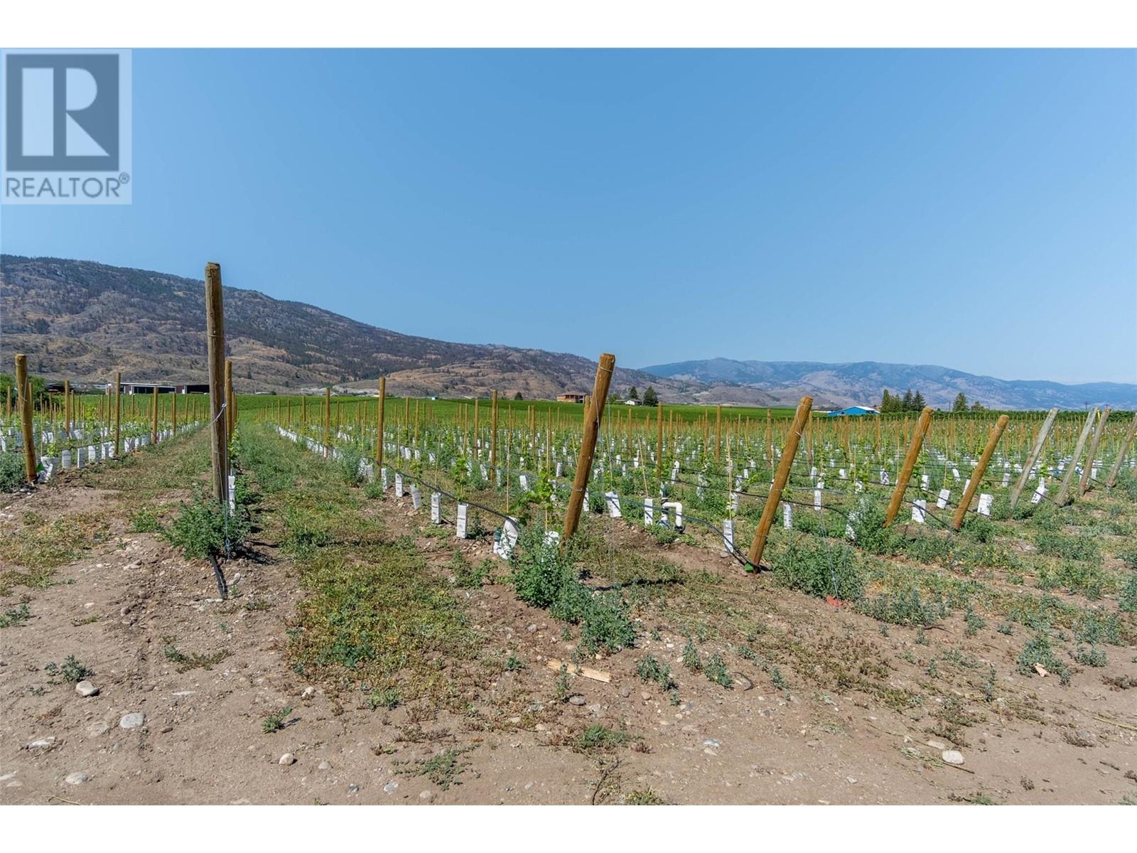 8901 92nd Avenue, Osoyoos, British Columbia  V0H 1V2 - Photo 38 - 10337805
