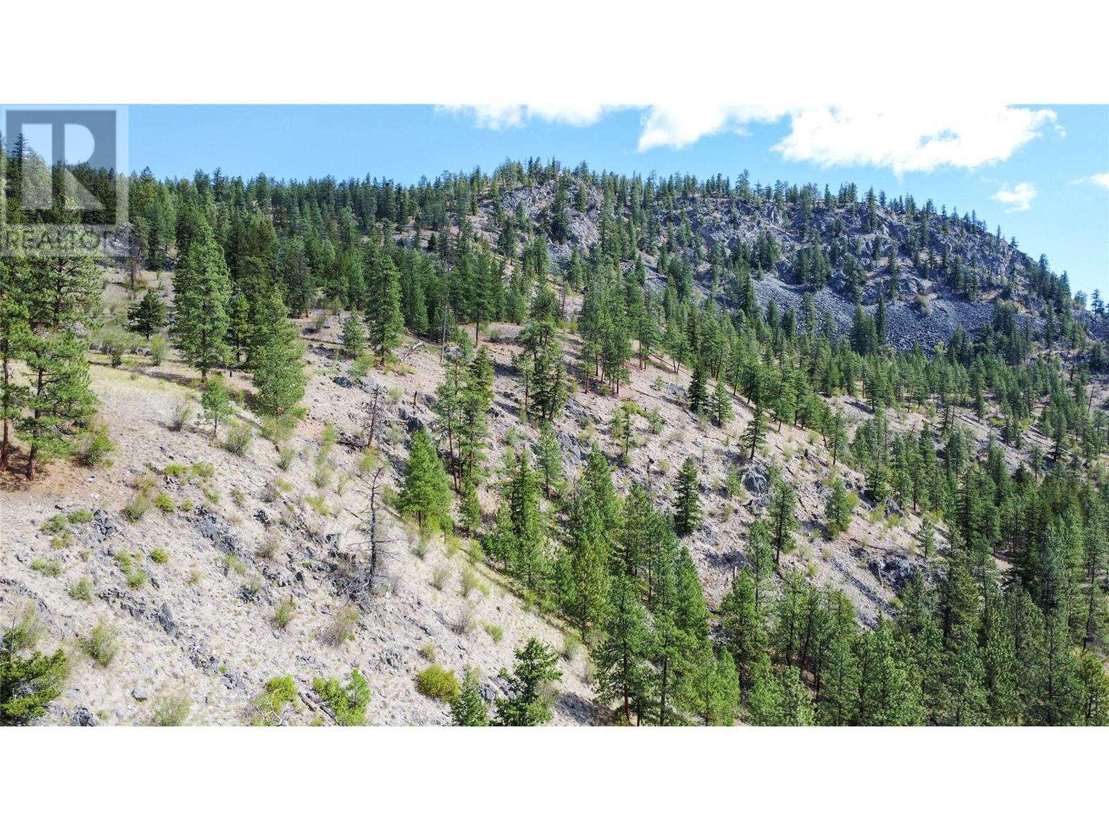 Lot 2-8208 Princeton Summerland Road, Summerland, British Columbia  V0H 1Z8 - Photo 10 - 10337681