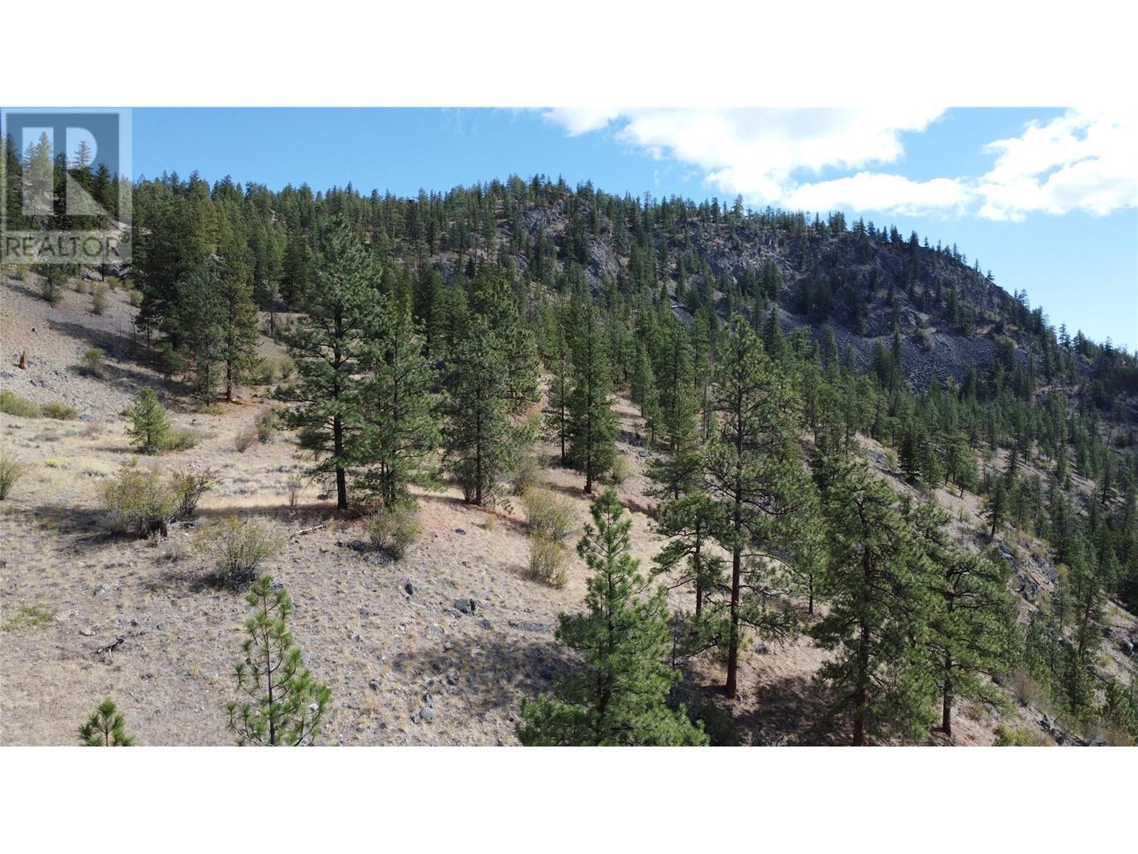 Lot 2-8208 Princeton Summerland Road, Summerland, British Columbia  V0H 1Z8 - Photo 3 - 10337681