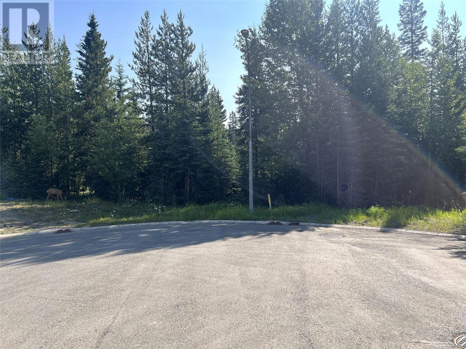 8 Dogwood Place, Elkford, British Columbia  V0B 1H0 - Photo 2 - 10338278