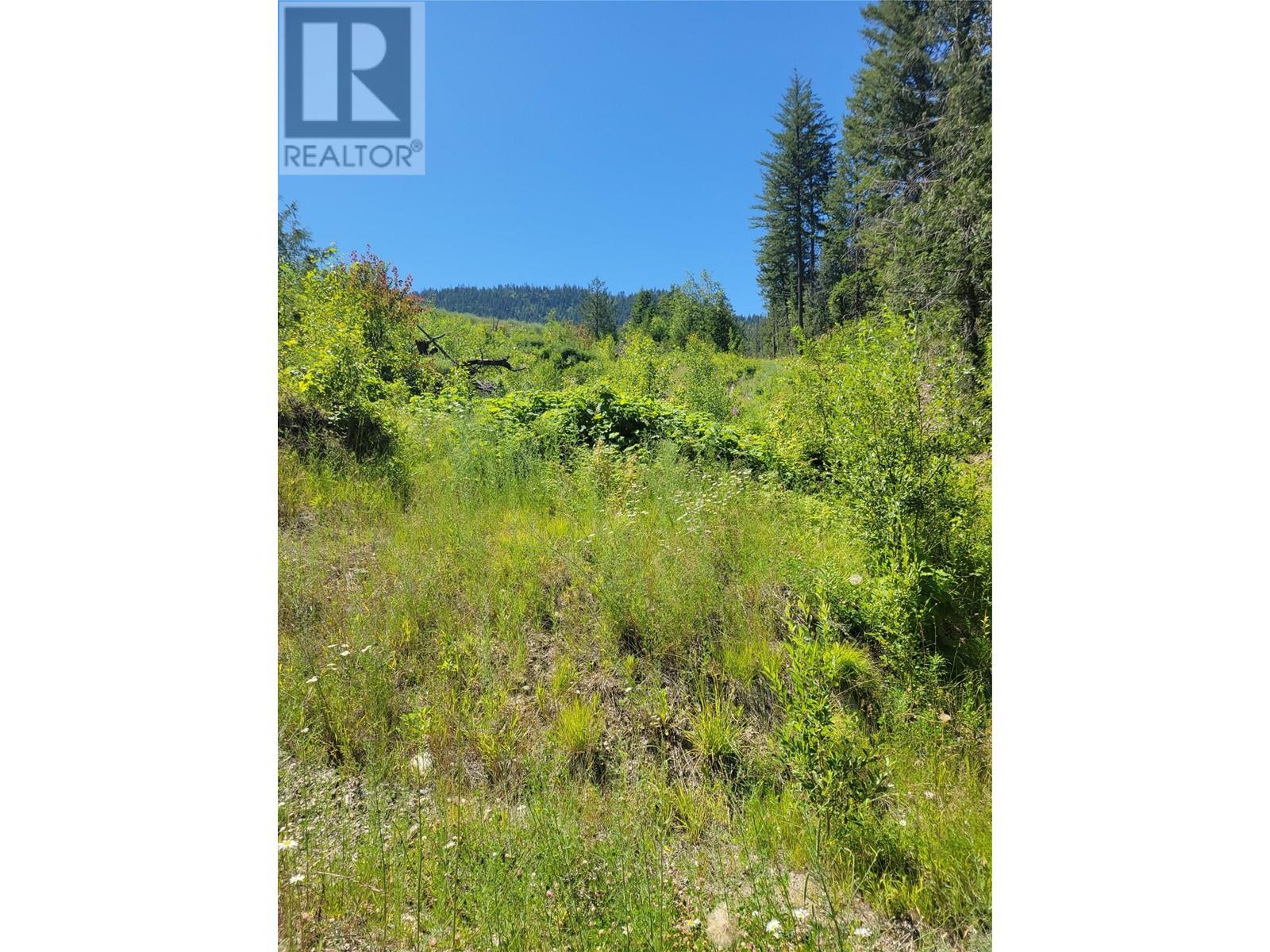 941 Chase Falkland Road, Chase, British Columbia  V0E 1M1 - Photo 11 - 10338272