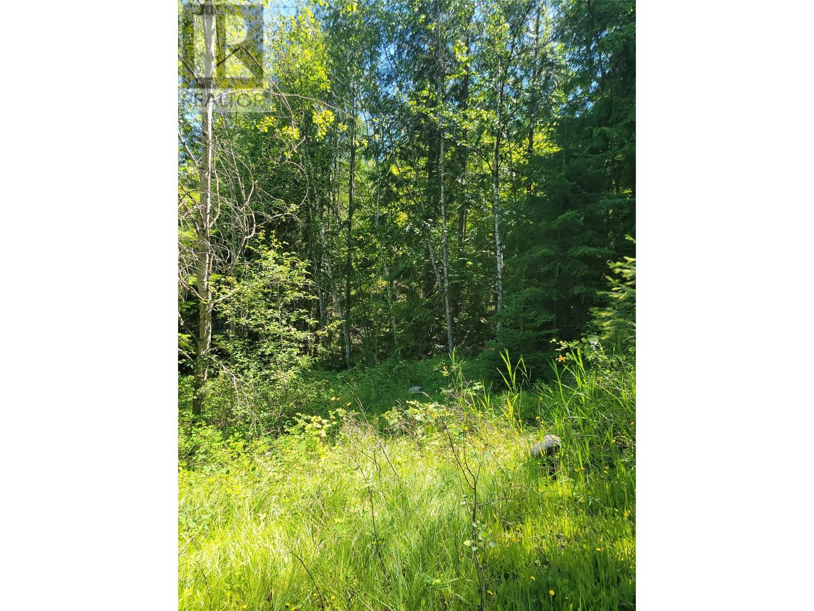 941 Chase Falkland Road, Chase, British Columbia  V0E 1M1 - Photo 12 - 10338272