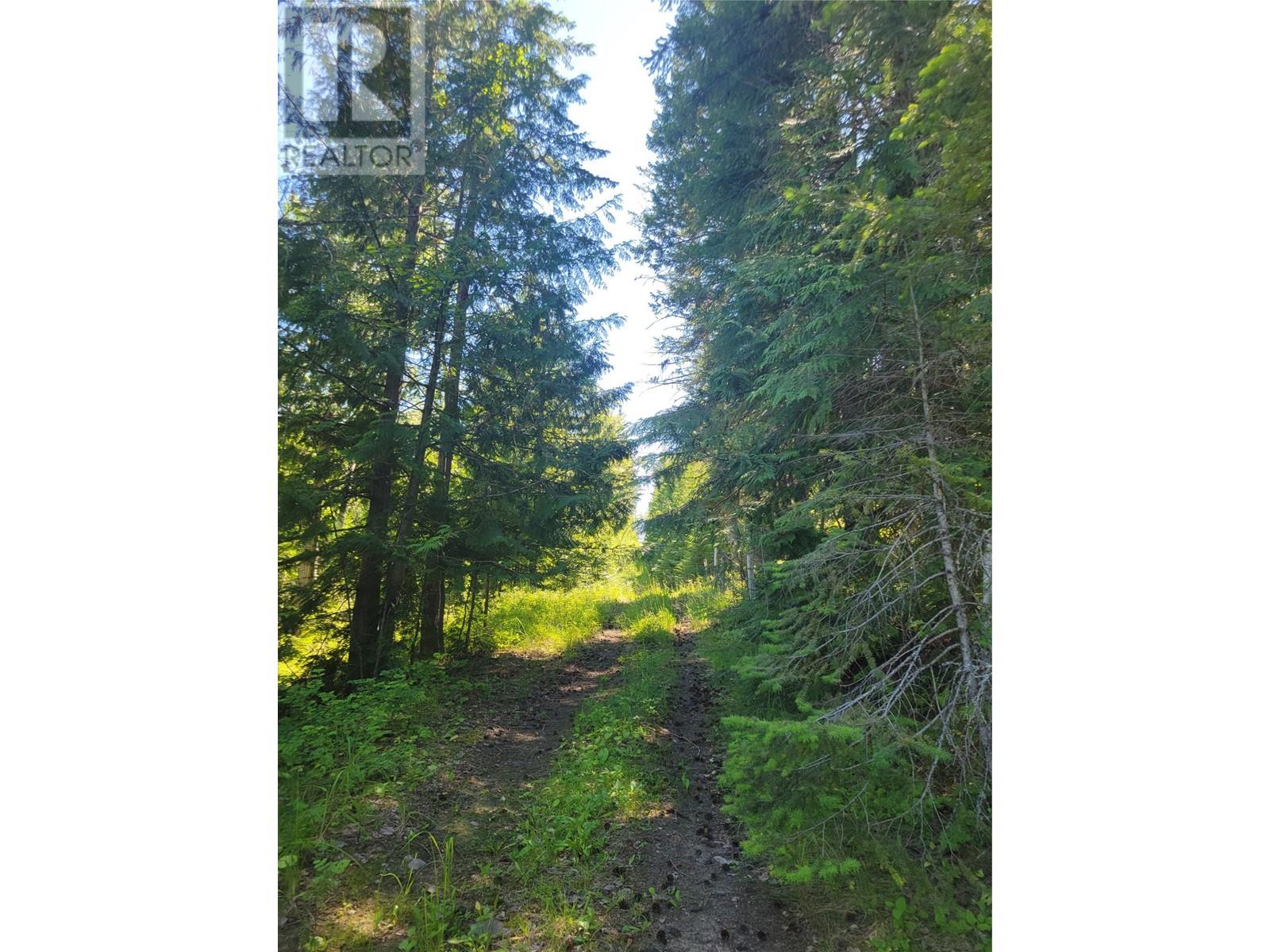 941 Chase Falkland Road, Chase, British Columbia  V0E 1M1 - Photo 13 - 10338272