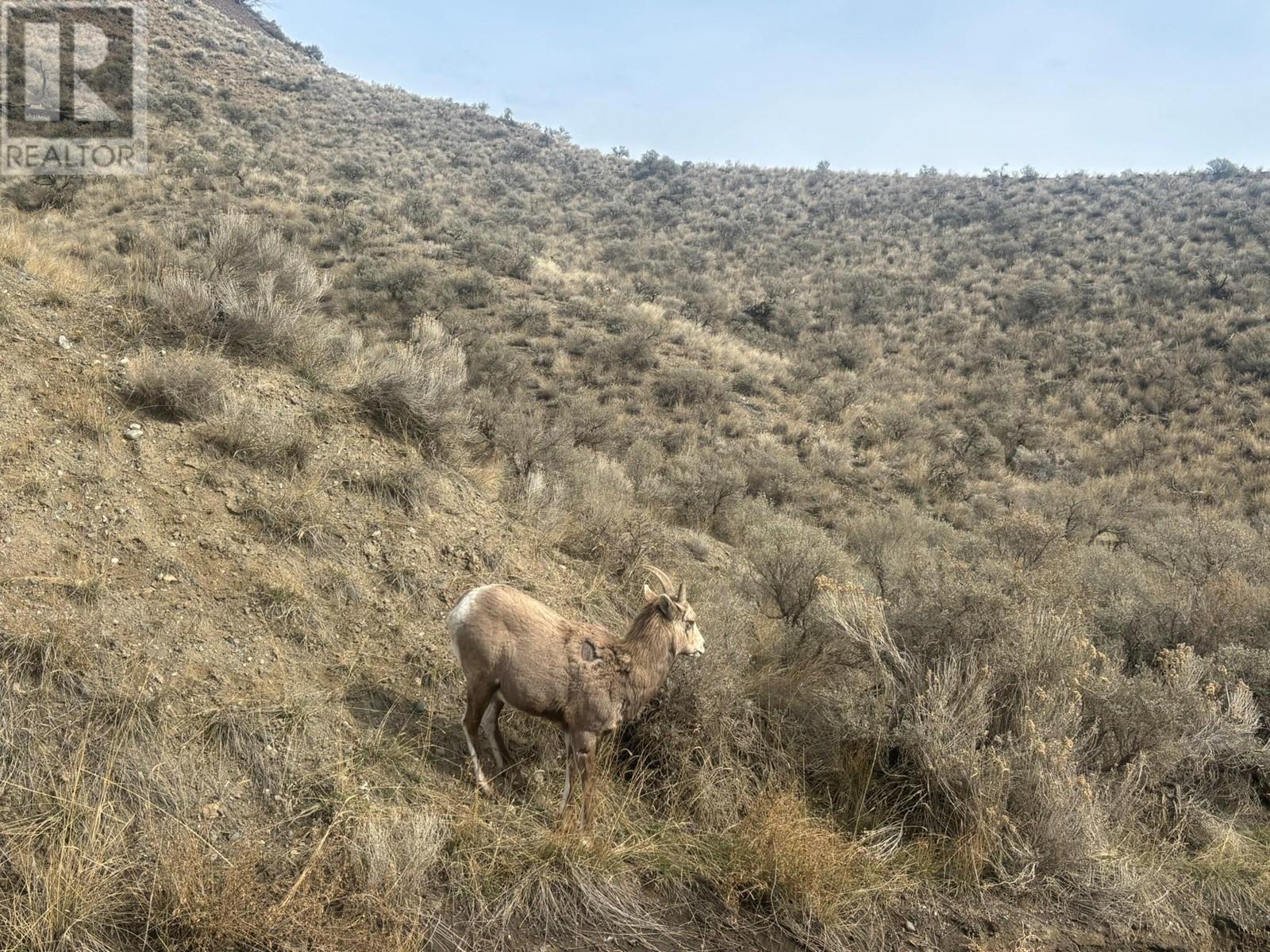 6412 & 6416 Frederick Road Lot# 26 & 27, Kamloops, British Columbia  V2B 7X1 - Photo 39 - 10338489