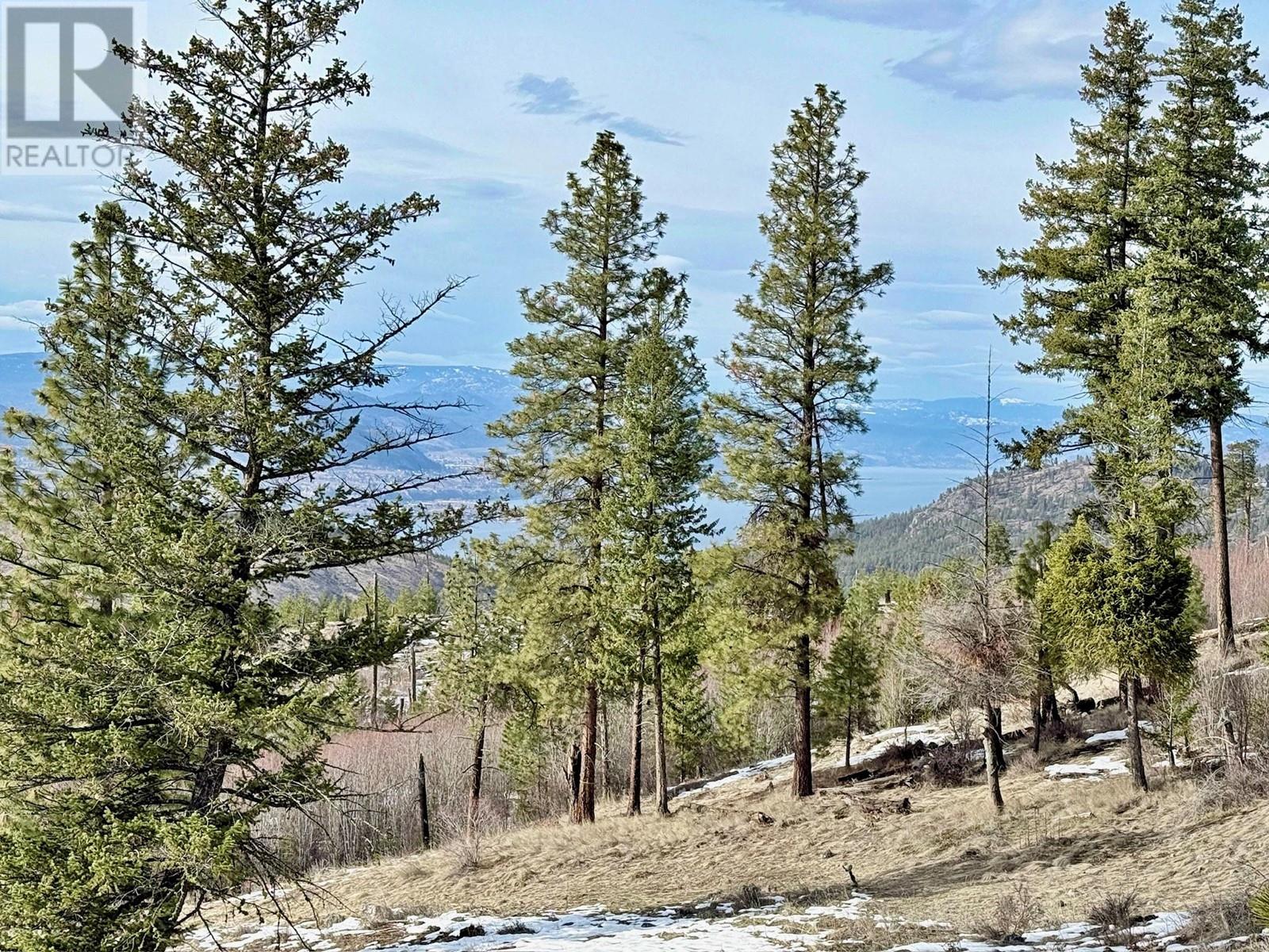 123 Bear End Road, Penticton, British Columbia  V2A 8V6 - Photo 73 - 10338334