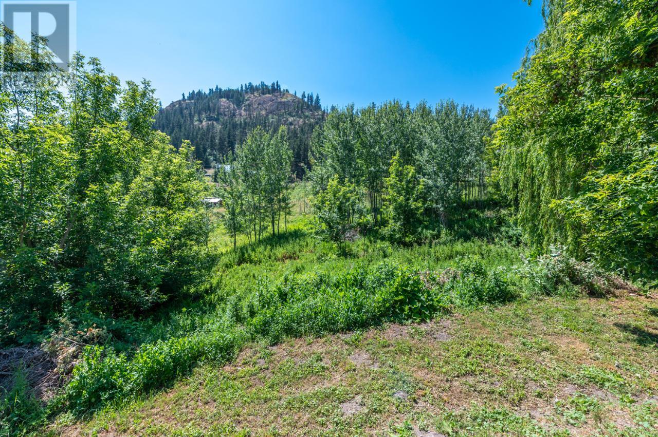 18740 Old Richter Pass Road, Osoyoos, British Columbia  V0H 1V5 - Photo 39 - 10337911