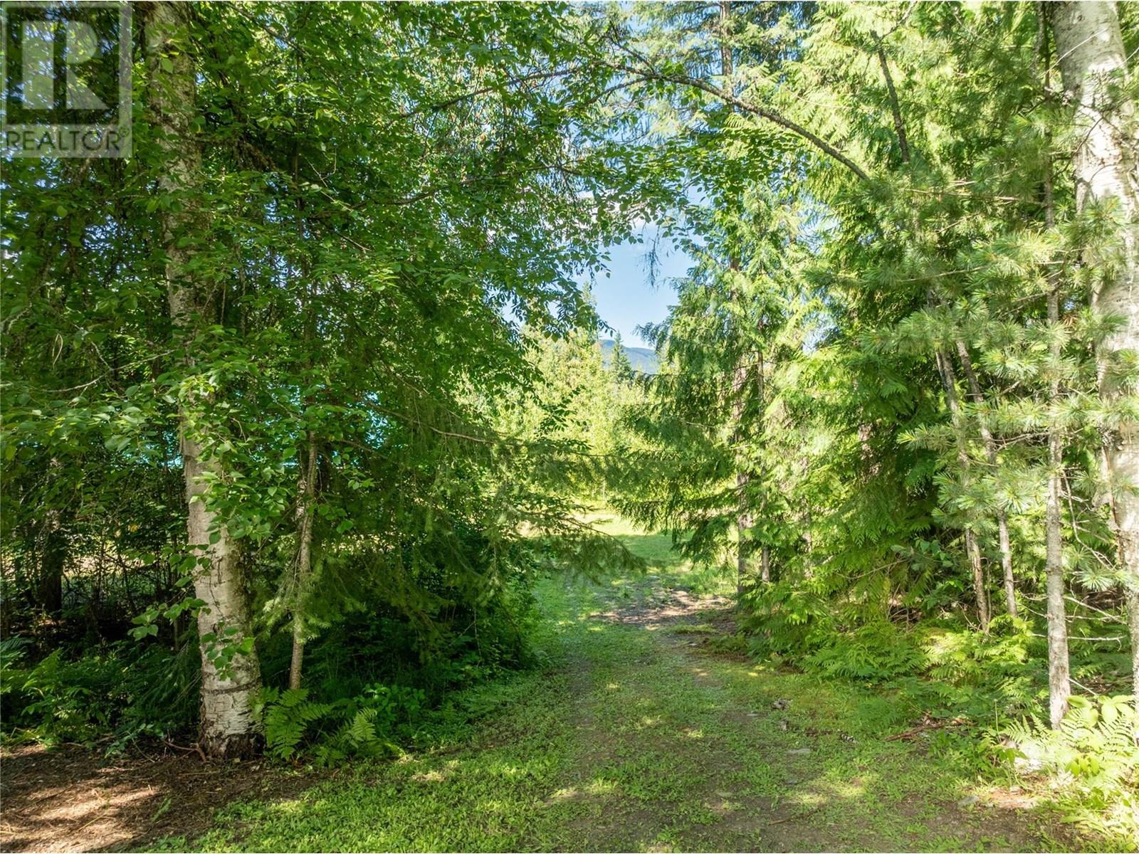 3840 Cameron Road, Eagle Bay, British Columbia  V0E 1T0 - Photo 12 - 10338863