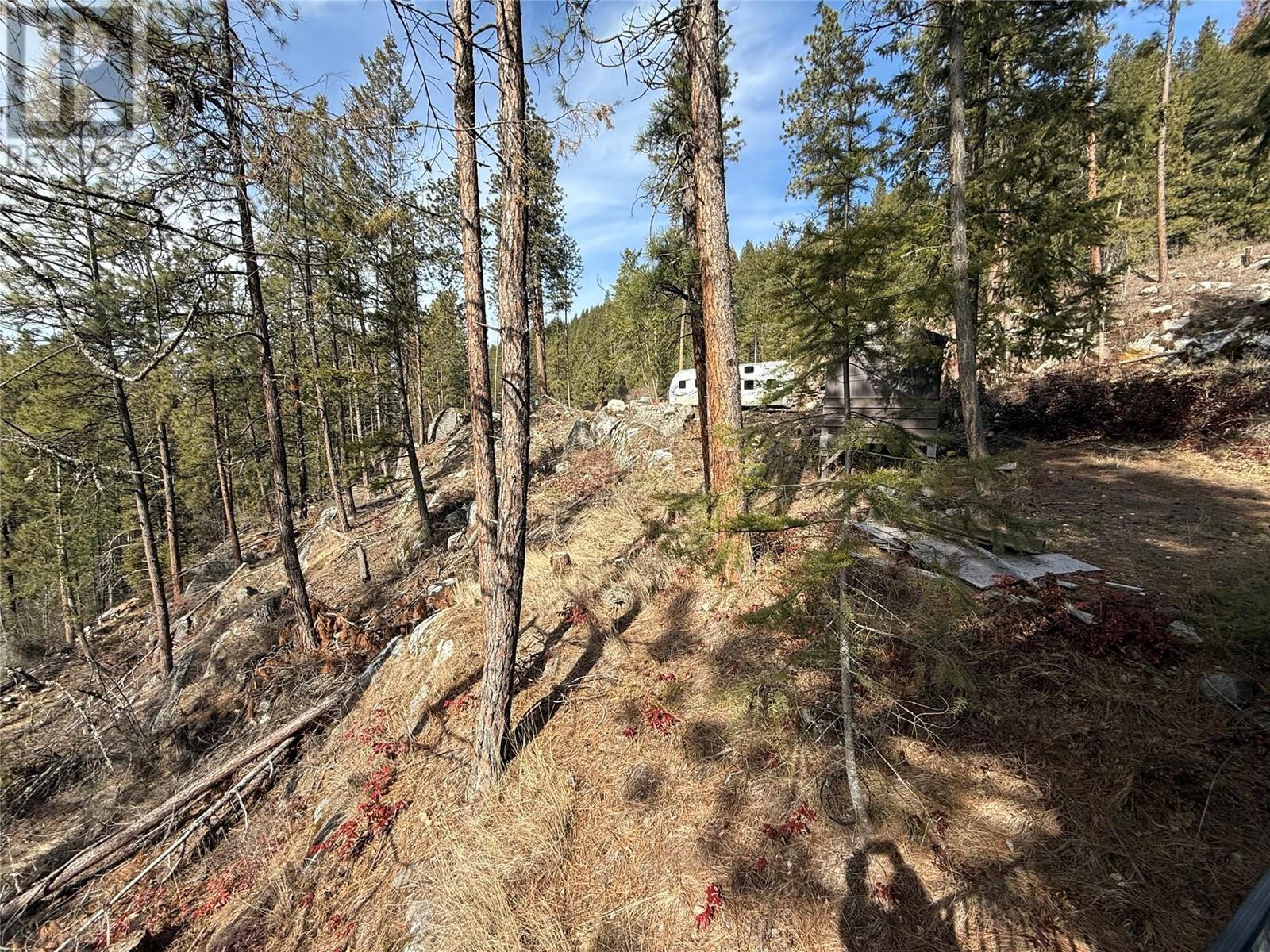 9779 3a Highway, Kuskanook, British Columbia  V0B 1A1 - Photo 5 - 10338425