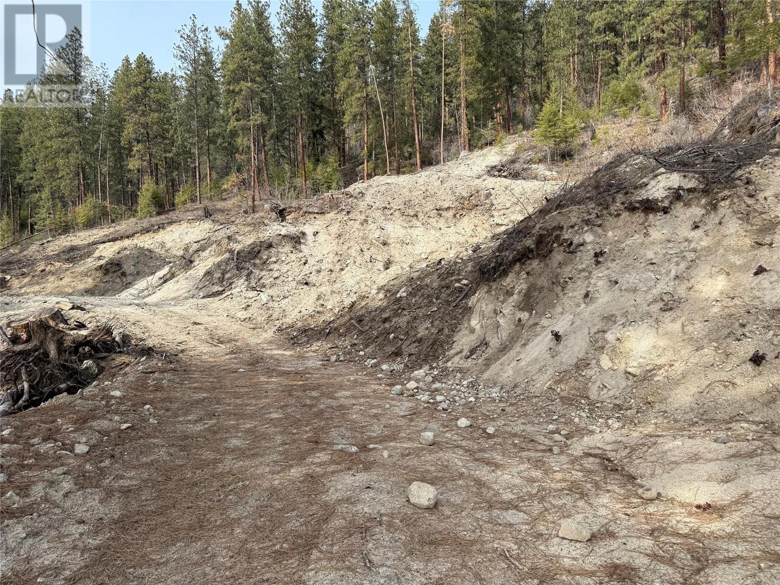 9703 3a Highway, Kuskanook, British Columbia  V0B 1A1 - Photo 26 - 10338461