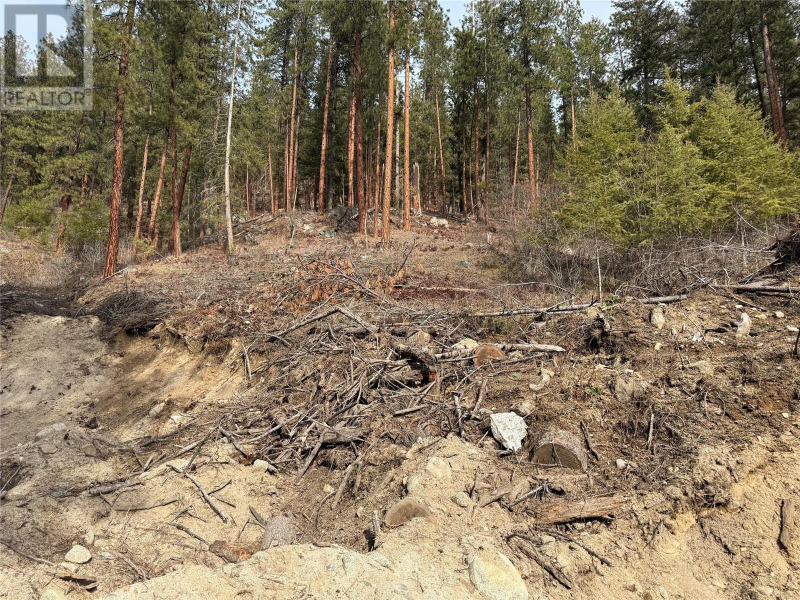 9703 3a Highway, Kuskanook, British Columbia  V0B 1A1 - Photo 29 - 10338461