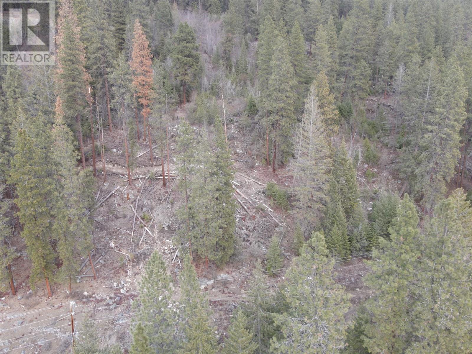 9779 3a Highway Lot# D, Kuskanook, British Columbia  V0B 1A1 - Photo 5 - 10338460