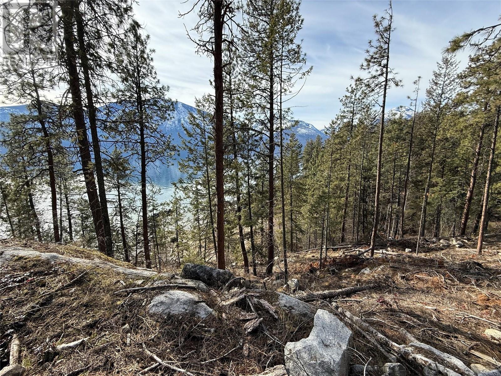 9779 3a Highway Lot# C, Kuskanook, British Columbia  V0B 1A1 - Photo 2 - 10338458