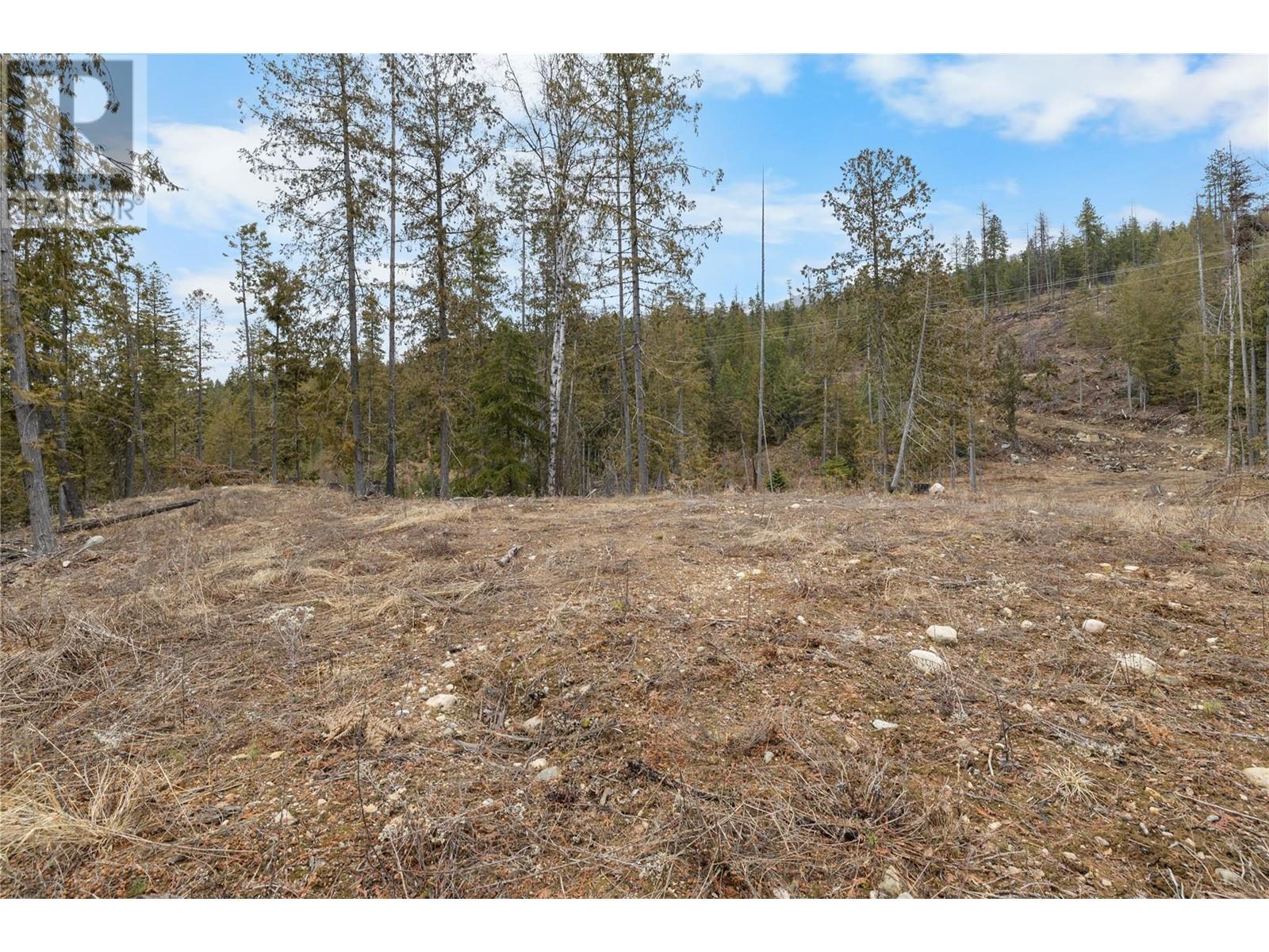 506 Riondel Road, Riondel, British Columbia  V0B 2B0 - Photo 10 - 10339132