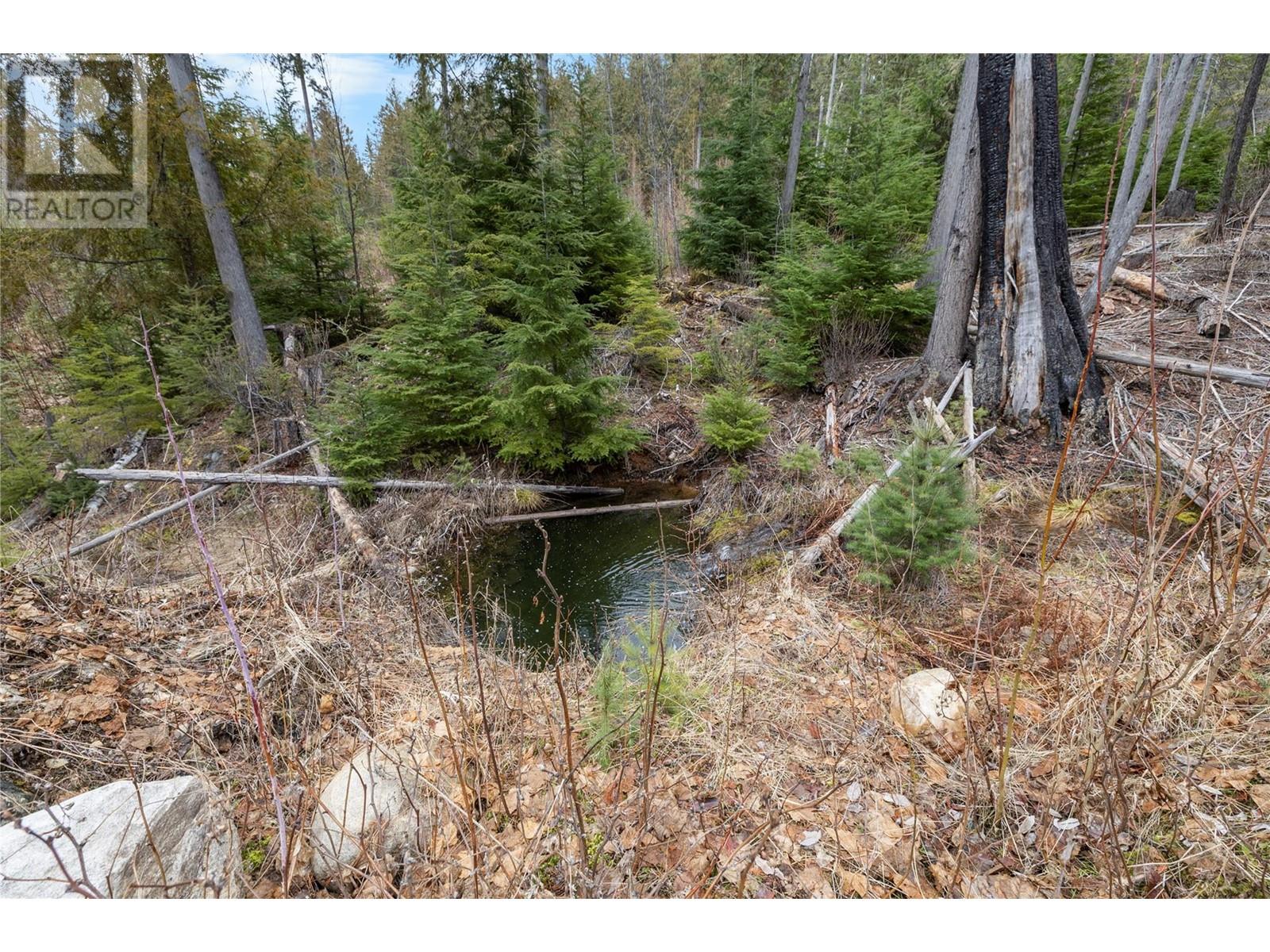 506 Riondel Road, Riondel, British Columbia  V0B 2B0 - Photo 11 - 10339132