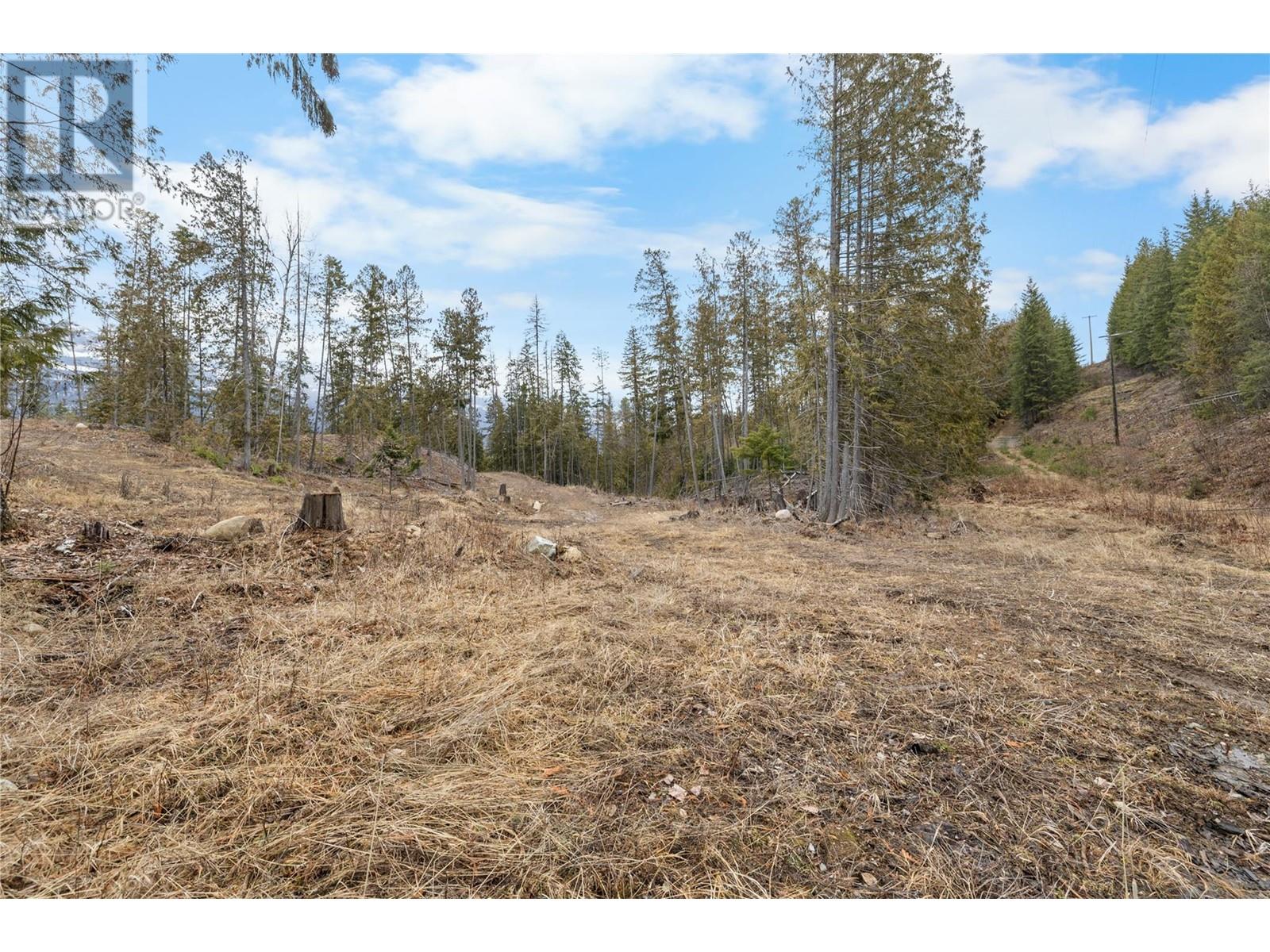 506 Riondel Road, Riondel, British Columbia  V0B 2B0 - Photo 3 - 10339132