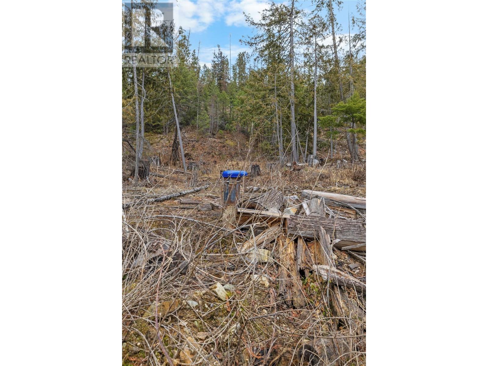 506 Riondel Road, Riondel, British Columbia  V0B 2B0 - Photo 5 - 10339132