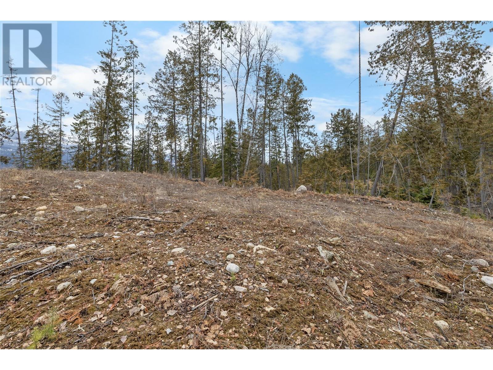 506 Riondel Road, Riondel, British Columbia  V0B 2B0 - Photo 9 - 10339132