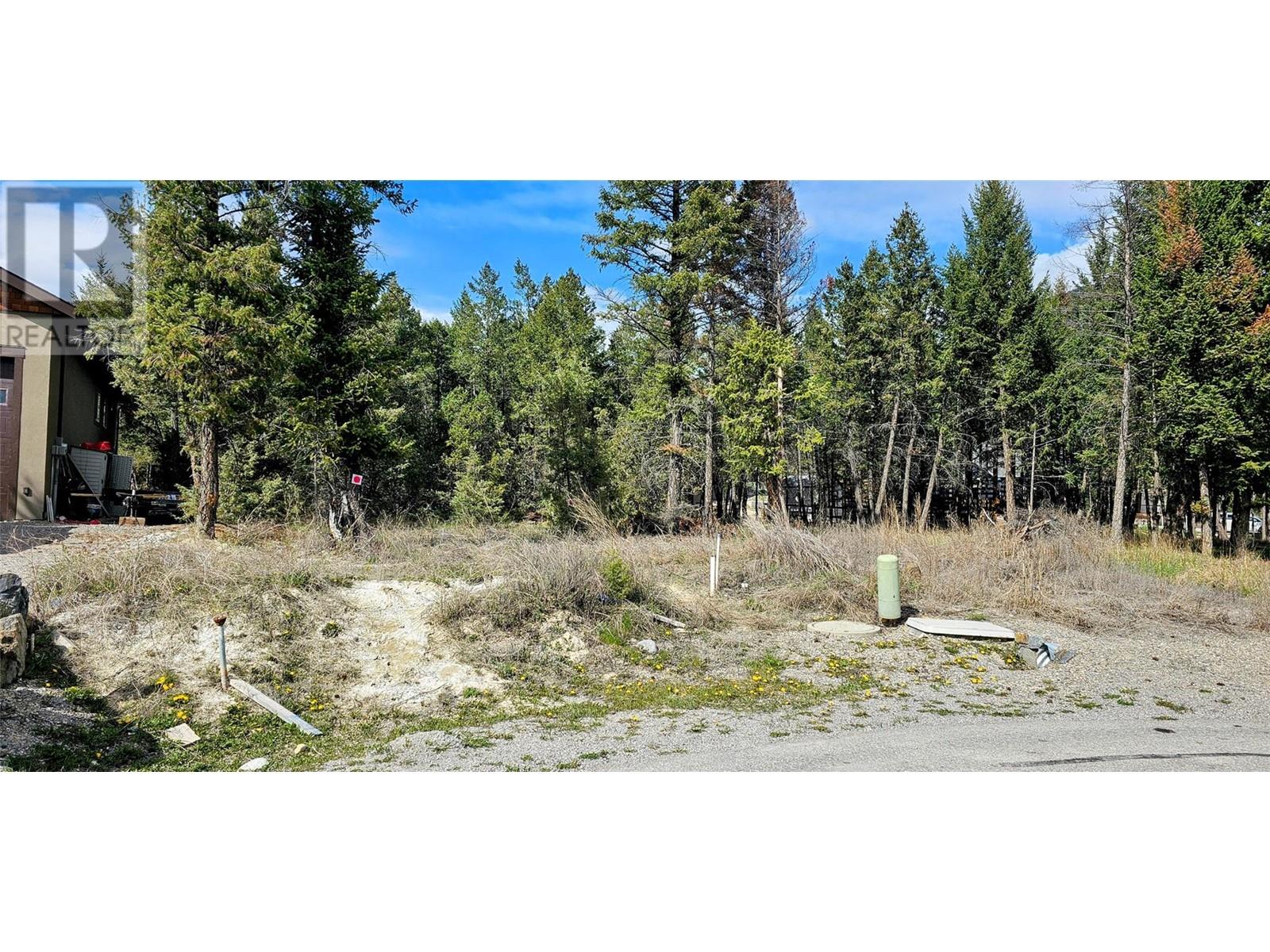 Lot 64 Copper Point Way, Windermere, British Columbia  V0A 1K3 - Photo 6 - 10339098