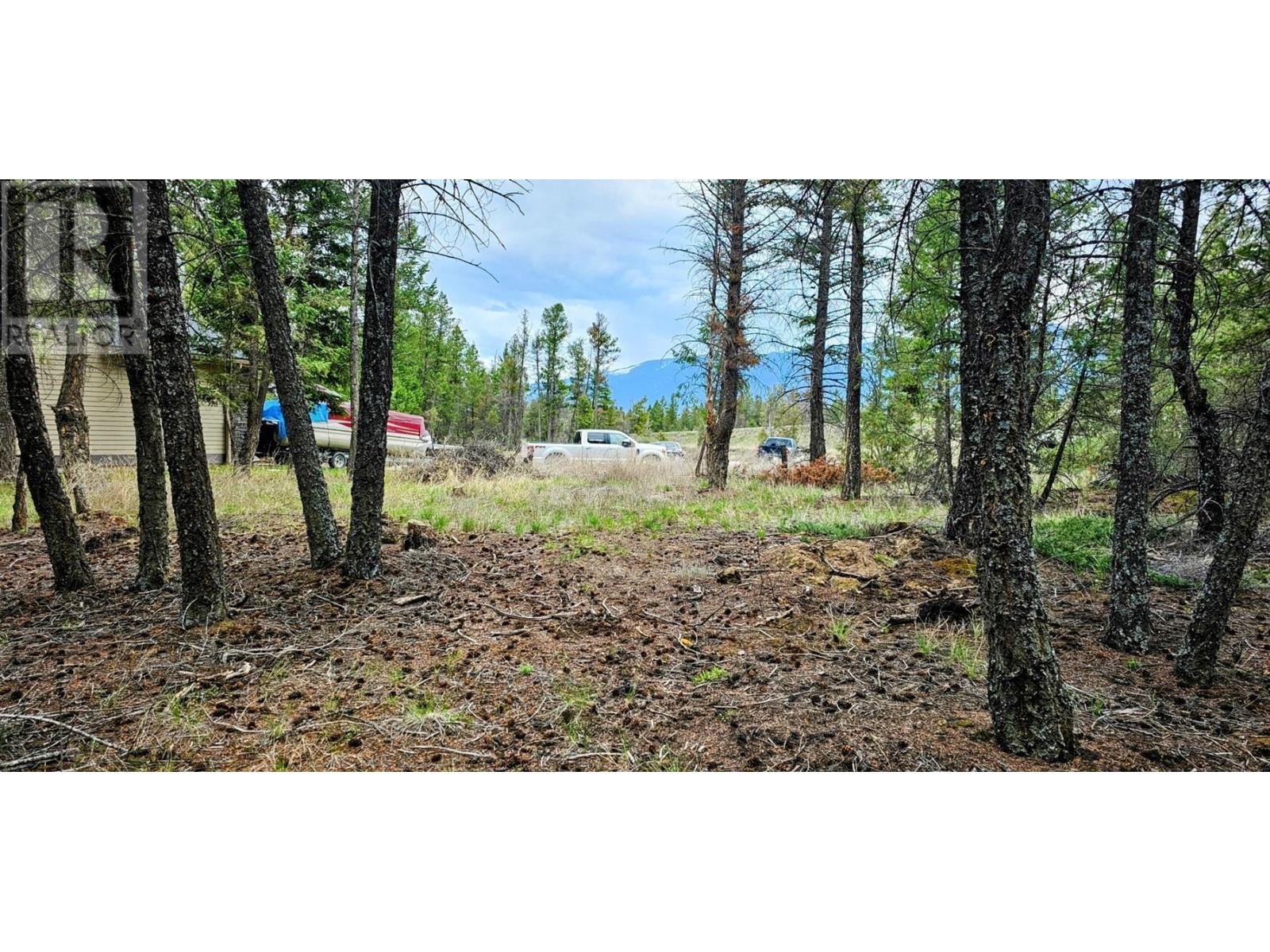 Lot 64 Copper Point Way, Windermere, British Columbia  V0A 1K3 - Photo 7 - 10339098