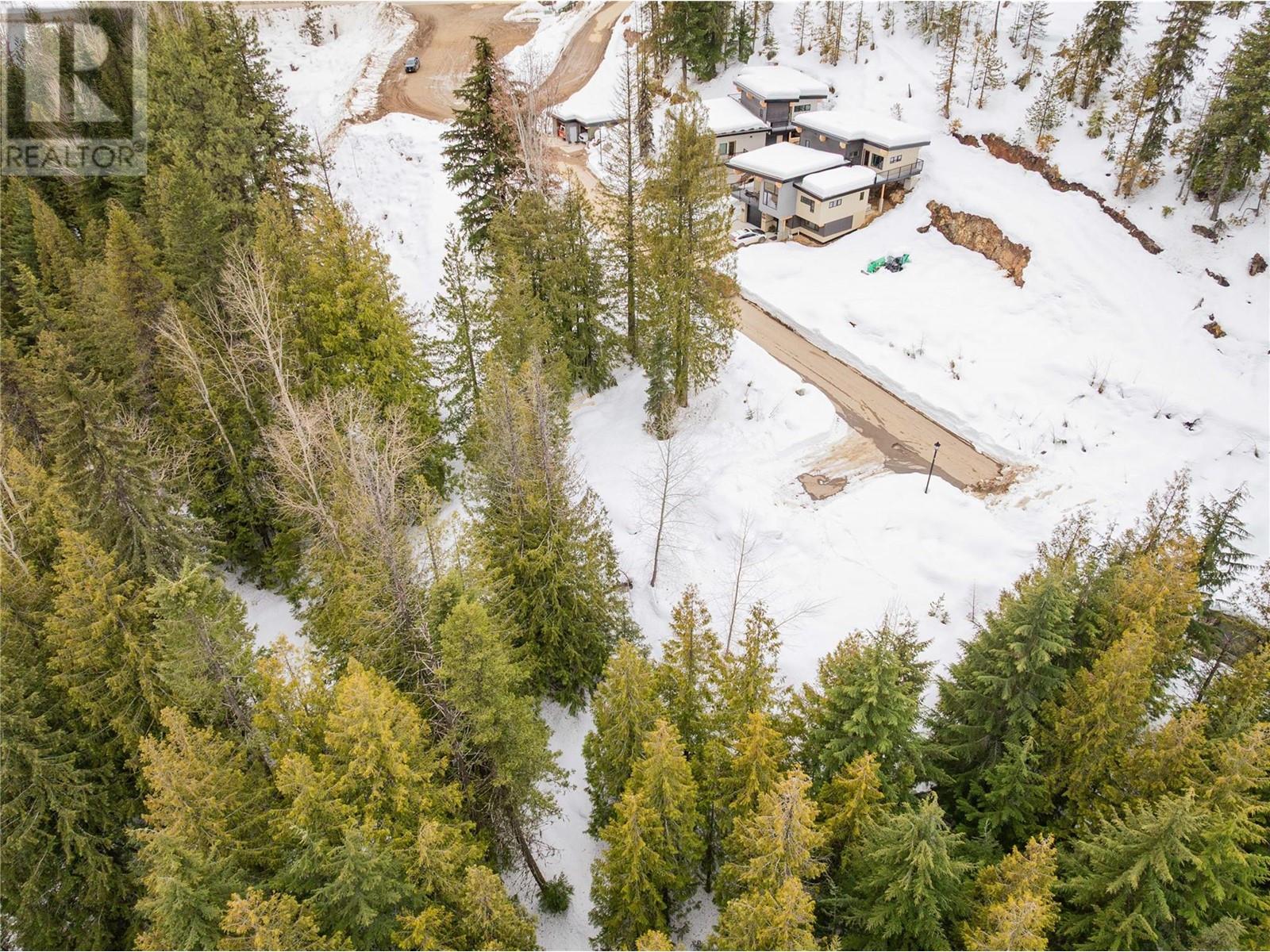 212 Rock Cut Rd Road, Rossland, British Columbia  V0G 1Y0 - Photo 30 - 10339192