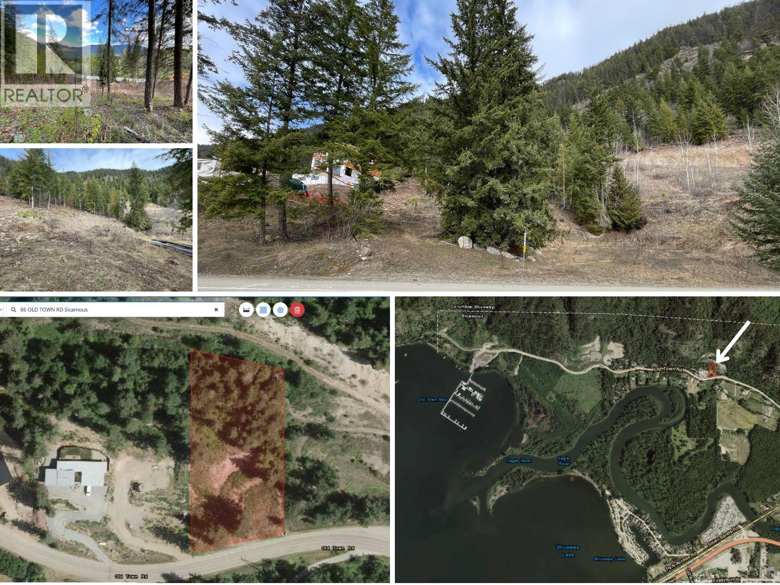 86 Old Town Road, Sicamous, British Columbia  V0E 2V4 - Photo 1 - 10338961