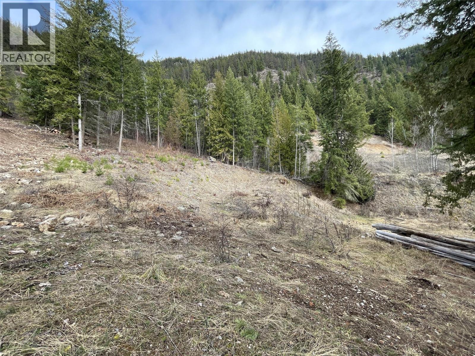 86 Old Town Road, Sicamous, British Columbia  V0E 2V4 - Photo 14 - 10338961