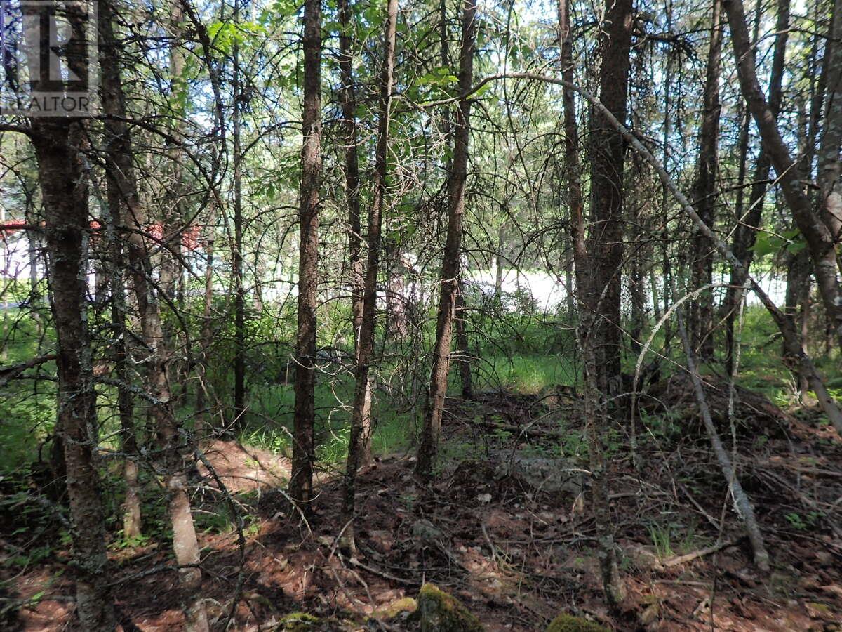 Lot 7 Eagle Ridge Road, Grand Forks, British Columbia  V0H 1H0 - Photo 3 - 10339859