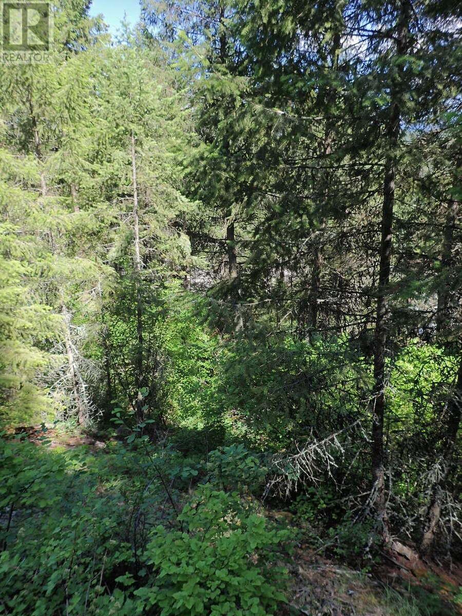 Lot 7 Eagle Ridge Road, Grand Forks, British Columbia  V0H 1H0 - Photo 4 - 10339859