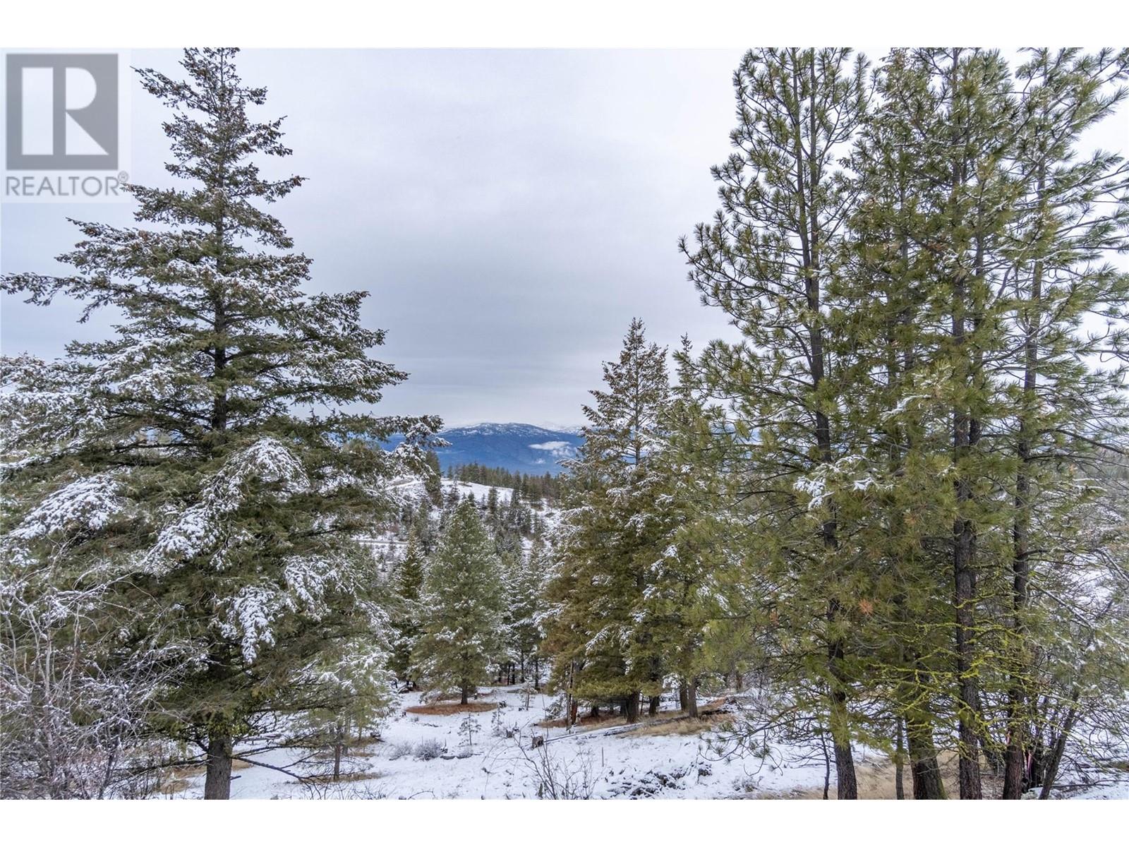 337 Mule Deer Drive, Osoyoos, British Columbia  V0H 1V6 - Photo 45 - 10338530