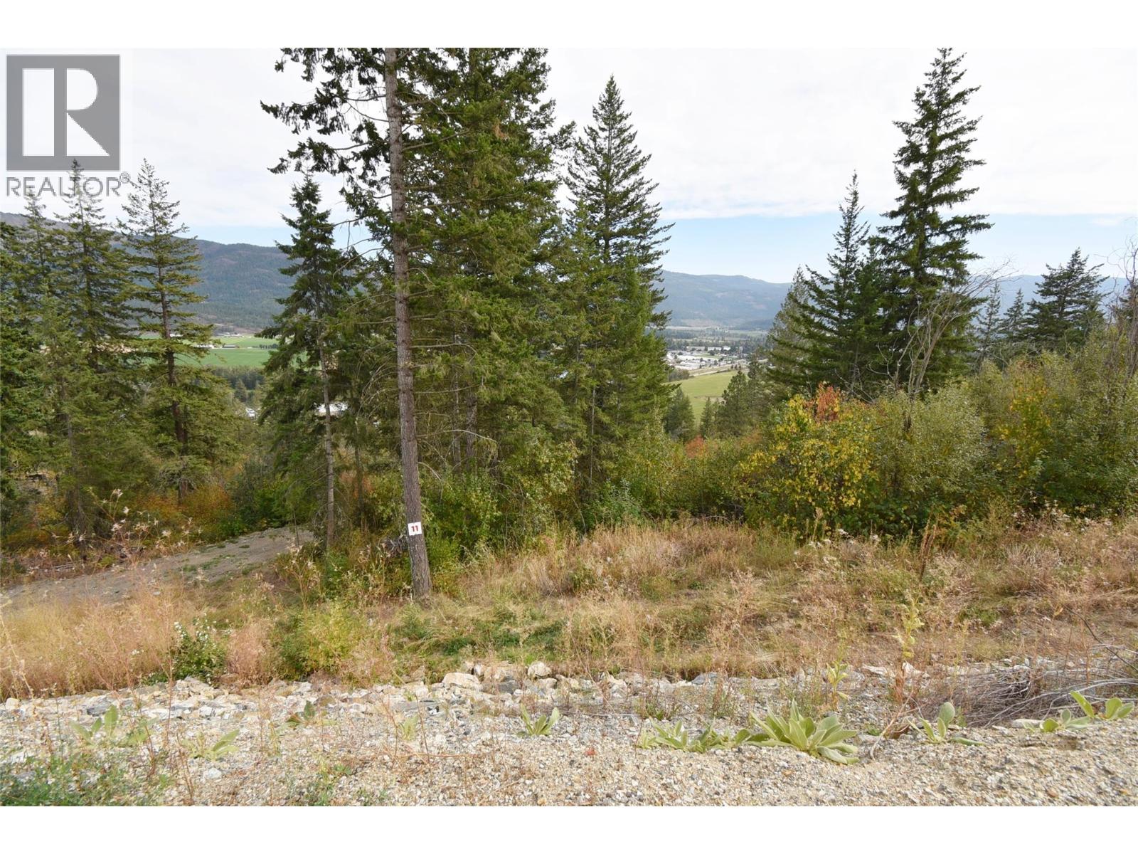 213 Crooked Pine Road, Enderby, British Columbia  V0E 1V1 - Photo 3 - 10339985